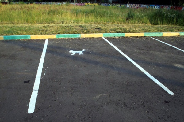Парковочное место для котят в Кожухово