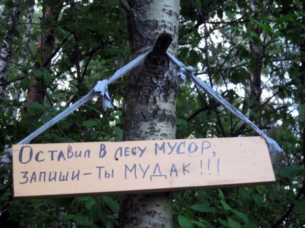 Надпись в Косинском лесу