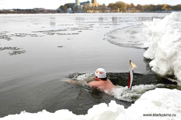 Косинские моржи поддержали Олимпийскую эстафету на Белом озере