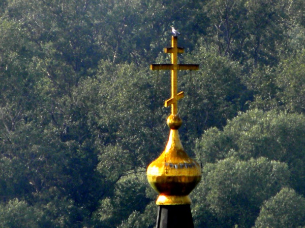 Птичка на куполе храма