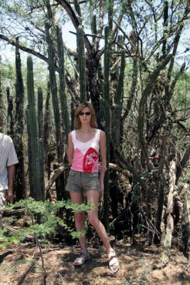 Доминикана, кактусовый лес 