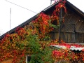 Осень в Косино
