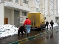 Отлов медведей в Кожухово
