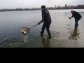Торжественный впуск 300 кг живой рыбы в Белое Озеро. Апрель 2013 года.